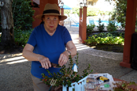 Client: Garden Fun